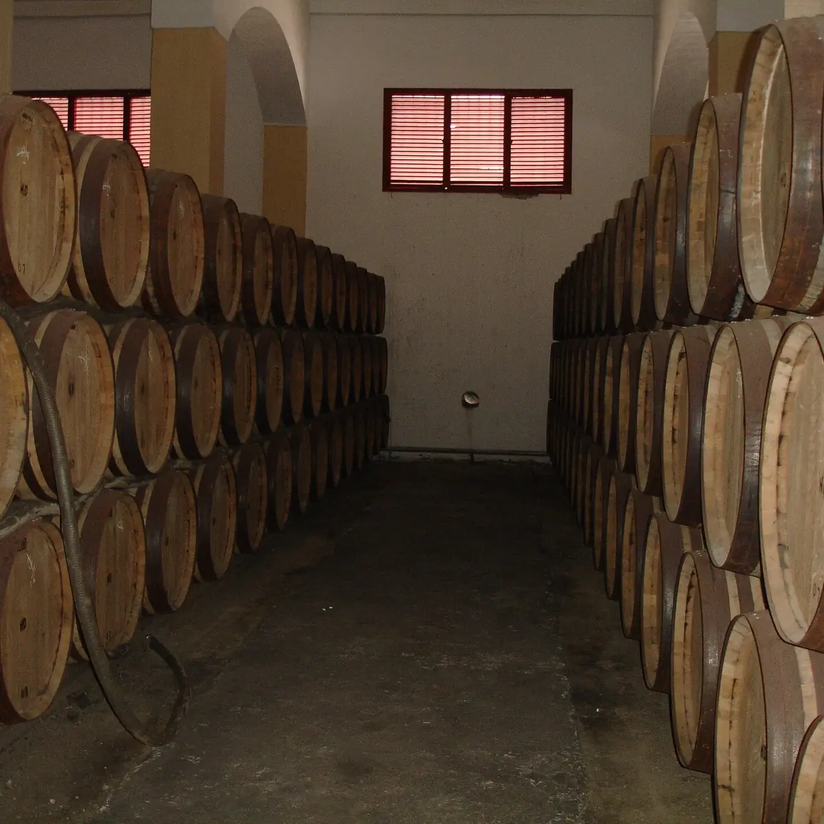 Oak sherry barrels stacked in rows on both sides of a narrow bodega corridor with arches and shuttered windows at the far end